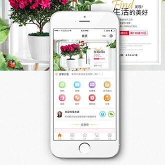 邗江门店微商城小程序开发