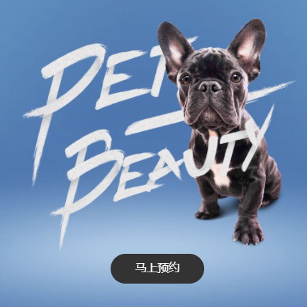 邗江宠物中心小程序开发