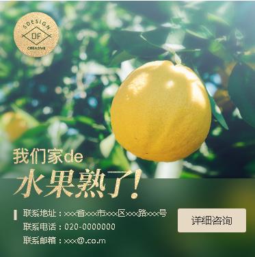 邗江果园果林小程序开发